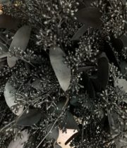 Black Seeded Eucalyptus (sprayed)
