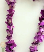Purple Dendrobium Orchid Lei, Single