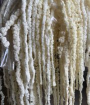 Dried Bleached Hanging Amaranthus
