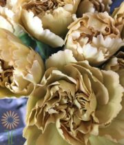 Beige/Yellow Specialty Mustard Carnations