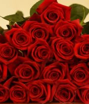 Red Roses 25 Stems