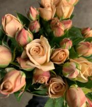 Beige The Earth Spray Roses